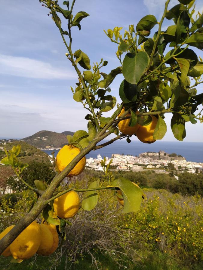 Villa Belvedere Lipari  Exterior photo